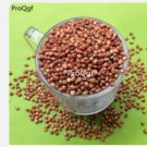 Proqgf 5000pcs  Sorghum bicolor seed