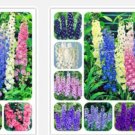 Proqgf 1000pcs  Delphinium grandiflorum seed