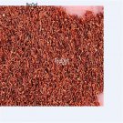 Ngryise 300Pcs A Set    Parnassia palustris seed