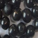 Ngryise 300Pcs A Set  Ophiopogon Japonicus seed