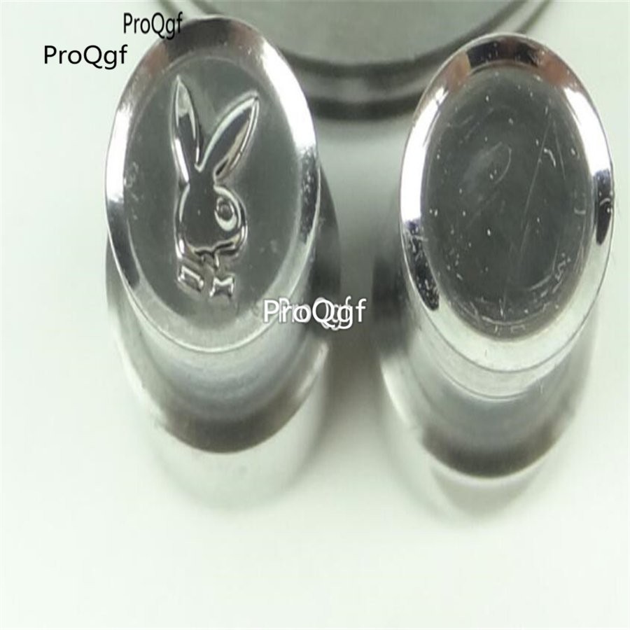 Ngryise punch press die mold rabbit