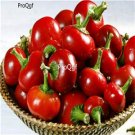 Ngryise 3000pcs red cherry shape Capsicum  seed