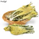 Ngryise 300gram dry flower Hylocereus undatus
