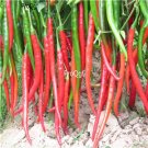 ngryise 3000pcs  Zanthoxylumbungeanum seed