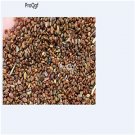 Ngryise 6000pcs Astragalus adsurgens seed