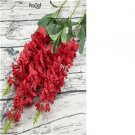 ngryise 6000pcs red Consolida ajacis seed
