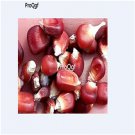Ngryise 500Pcs red Zea mays seed
