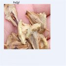 300Pcs A Set Araucaria cunninghamii Seed  ProQgf
