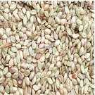 Ngryise 3000Pcs Paspalum notatum seed