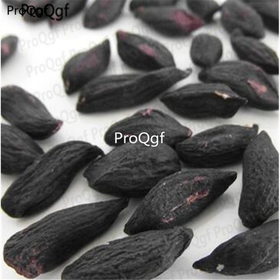 Ngryise 600pcs black peanut seed