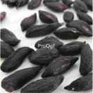 Ngryise 600pcs black peanut seed