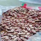 Ngryise 600pcs colorful peanut seed
