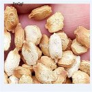 Ngryise 600pcs bitter melon Momordica charantia seed