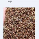 Ngryise 6000Pcs  coriaria sinica  seed
