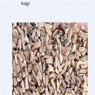 Ngryise 6000Pcs Echinacea purpurea seed