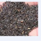 DwarfGiantFarm 6000pcs Rudbeckia laciniata  seed