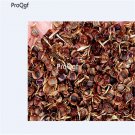 Ngryise 3000pcs Coreopsis grandiflora seed
