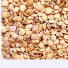 ngryise 3000pcs Solanum melongena seed
