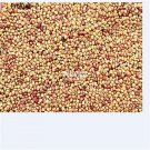 Ngryise 6000pcs Trifolium pratense seed
