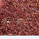 DwarfGiantFarm 3000Pcs A Set Securigera varia  seed