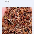 DwarfGiantFarm 500Pcs A Set Syringa oblata var alba Seed