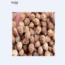 DwarfGiantFarm 1000Pcs A Set Padus racemosa seed
