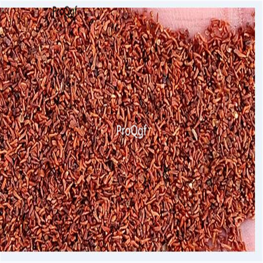 ngryise 1000Pcs A Set Moluccella laevis seed