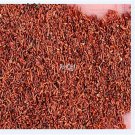 ngryise 1000Pcs A Set Moluccella laevis seed
