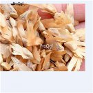 300Pcs A Set Keteleeria fortunei Seed   Prodgf