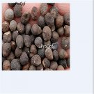 100Pcs a set Bombax ceiba tree Seed ProQgf