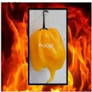 Prodgf 6000Pcs yellow carolina reaper pepper seed