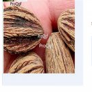 Ngryise 300Pcs A Set Davidia Involucrata seed