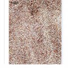 Ngryise 50000Pcs A Set Zoysia japonica seed