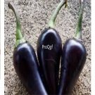 Prodgf 6000Pcs purple jalapeno pepper seed