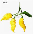 Prodgf 6000Pcs yellow habanero pepper seed