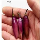 Prodgf 6000Pcs pimenta de neyde pepper seed