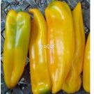 Prodgf 6000Pcs corno di toro giallo pepper seed