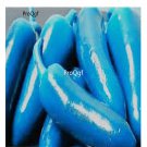Prodgf 6000Pcs blue turquoise pepper seed