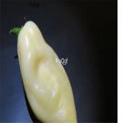 Prodgf 6000Pcs white ghost pepper seed