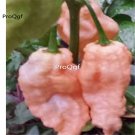 Prodgf 6000Pcs pink scorpion pepper seed
