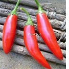 Prodgf 6000Pcs thai long sweet pepper seed