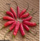 Prodgf 6000Pcs aji marchant pepper seed