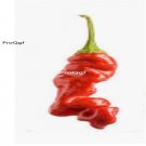 Prodgf 6000Pcs red screw pepper seed