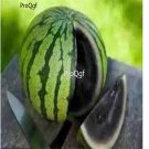 Prodgf 3000Pcs black watermelon seed