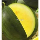 Prodgf 3000Pcs yellow watermelon seed