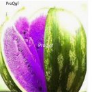 Prodgf 3000Pcs purple watermelon seed