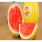 Prodgf 3000Pcs gold skin red meat watermelon seed