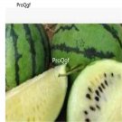 Prodgf 3000Pcs cream watermelon seed