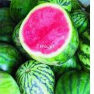 Prodgf 3000Pcs purple meat watermelon seed