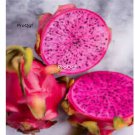 Prodgf 2000Pcs purple meat dragon fruit seed